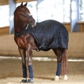 Back on Track Horse Walker / Exercise Rug